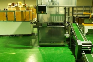 自動裝箱機(jī)